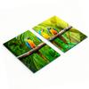 Tempered Multifunctional Decorative Glass Boards Parrot Branch 2x40x52 Cm