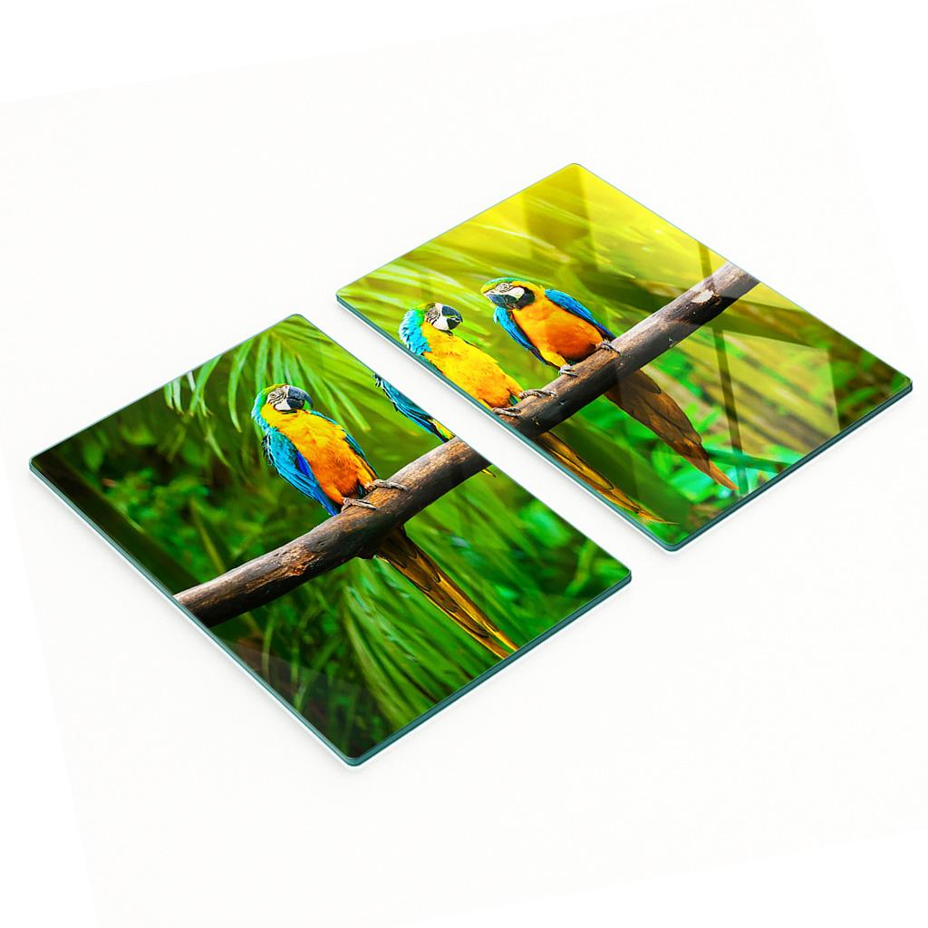 Tempered Multifunctional Decorative Glass Boards Parrot Branch 2x40x52 Cm