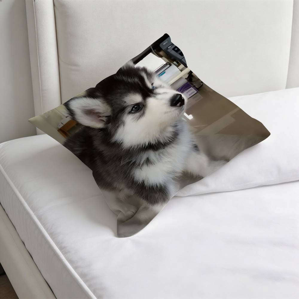 Husky PPuppy Dog Decorative Square Pillow Cover Modern Cushion Case for Living Room Bedroom