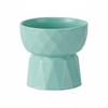 Elevated Ceramic Cat Bowl Ergonomic Stable Base for Kitten Owners, Feeding