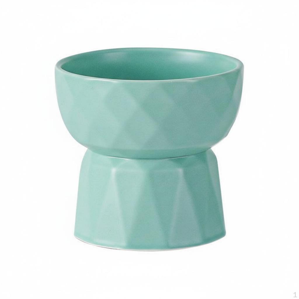 Elevated Ceramic Cat Bowl Ergonomic Stable Base for Kitten Owners, Feeding