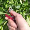 Finger Protector Blade Grafting Tools Fruit Picker Vegetable Picking Tool Garden Supplies