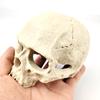 1 Set Resin Skull Aquarium Decor – Fish, Shrimp & Reptile Breeding Cave with Built-in Bubbler Stone for Oxygenation | Halloween Fish Tank Ornament