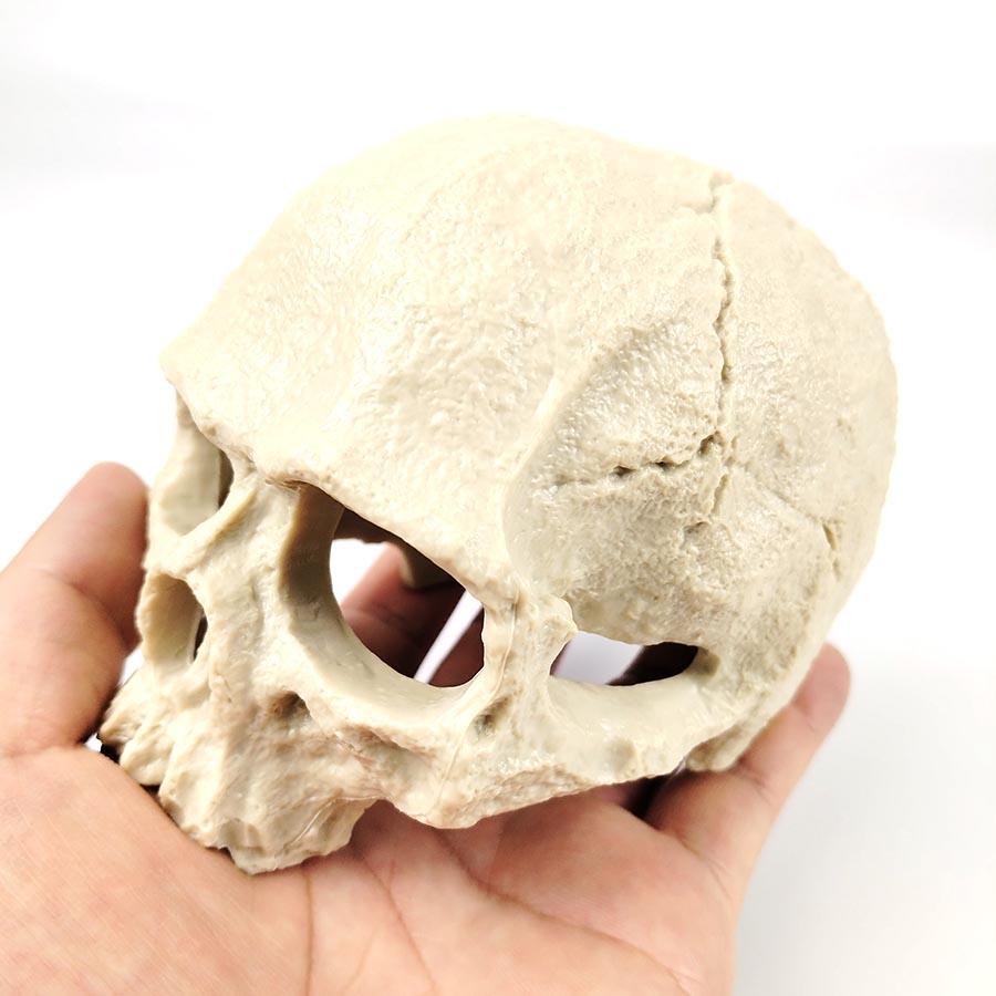 1 Sett Resin Skalle Akvariedekor – Fiske-, Reke- og Reptilavlsgrotte med Innebygd Boblestein for Oksygenering | Halloween Akvariepynt