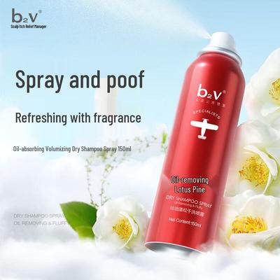 B2v Volumizing Oil Control Trockenshampoo
