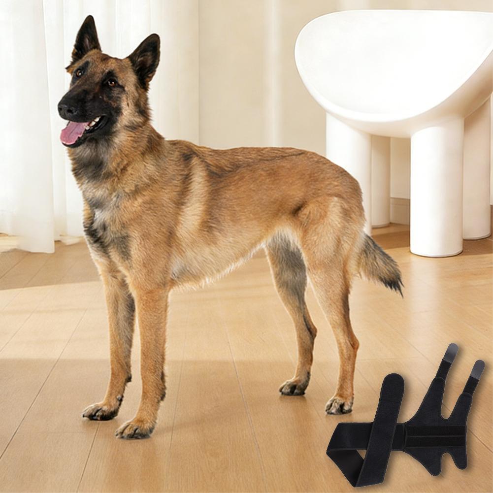 Pet Adjustable Joint Protection Covers Comfortable Breathable Dog Knee Brace Rear Leg Brace Dog Arthritis Protector Leg Wrap