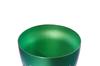 HORIE Pure Titanium Sakura Saku Made in Niigata Prefecture Double-Walled Tumbler, (Sakura Design), 250cc, Green, T15SS250G, Tsubame,