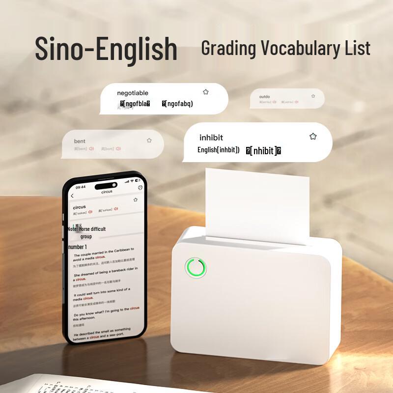 Stampante Termica Portatile Deli X5S Spina CN (adattatore incluso)