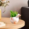 Cartoon Duck Rabbit Fox Bird Fish Shape Flower Pot Ceramic Plants Container Ornament Figurine Decorative Planter