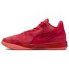 Zoom LeBron Nxxt Gen Ep 'James Gang' FJ1567-600