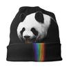 Pandalicious Rainbow Colorful Autumn Female Warm Beanies Double Used Windproof Bonnet Hats