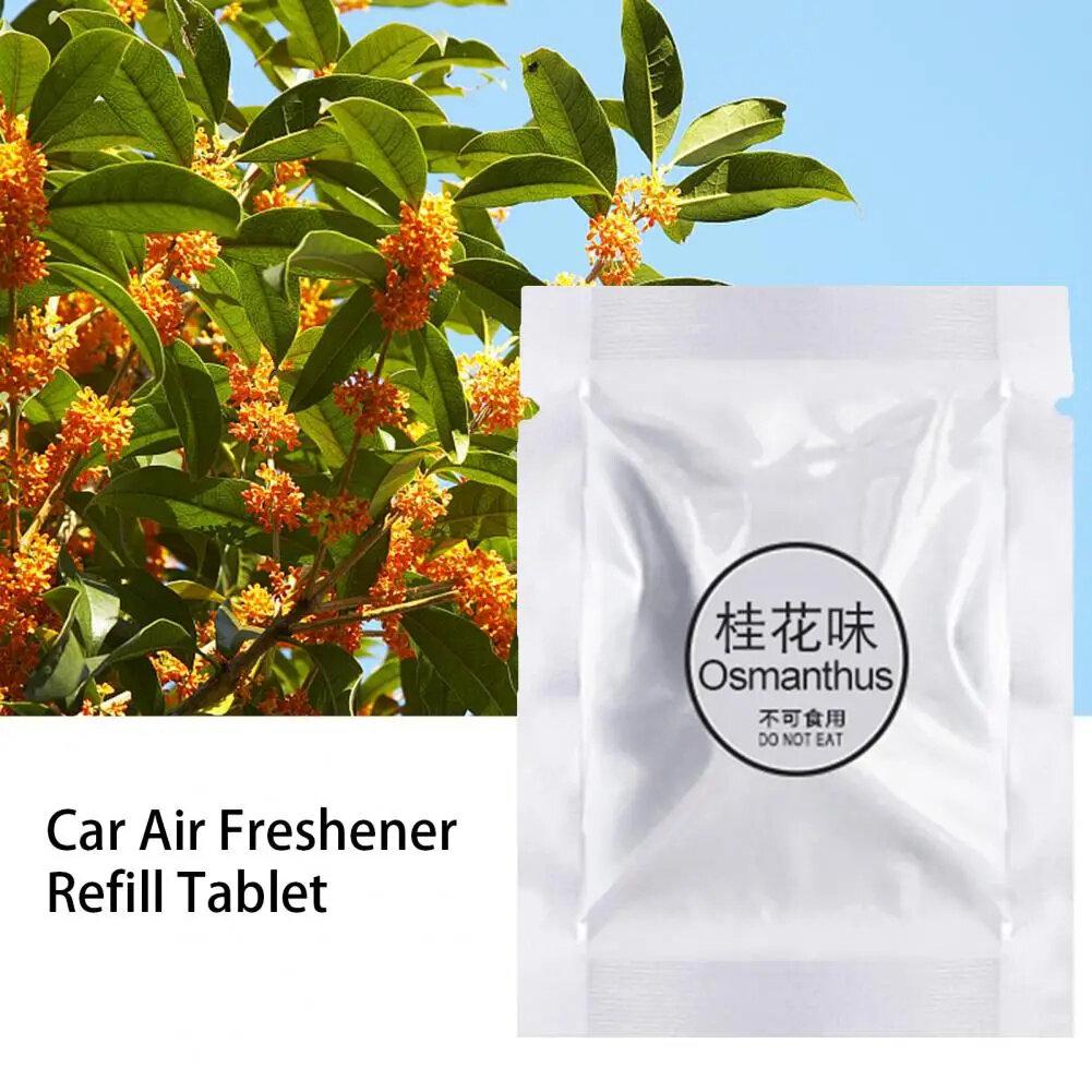 1/5/10Pcs Solid Car Perfume Refills Car Air Vent Clip Replacement Pads Fragrance Freshener for Pilot Bear (Ocean/Rose/Lavender/Lemon/Cologne/Fragrans)