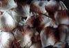 Fabric rose petals packed in a white and brown bag