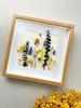 Ramka Na Zdjęcie 3D Głęboka Shadow Box 23X23  ( 25X25 )Cm Kwadratowa Dębowa