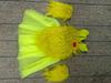 New Christmas Costumes Children's Christmas Dress Up Green Hair Glynch Costume Skirt