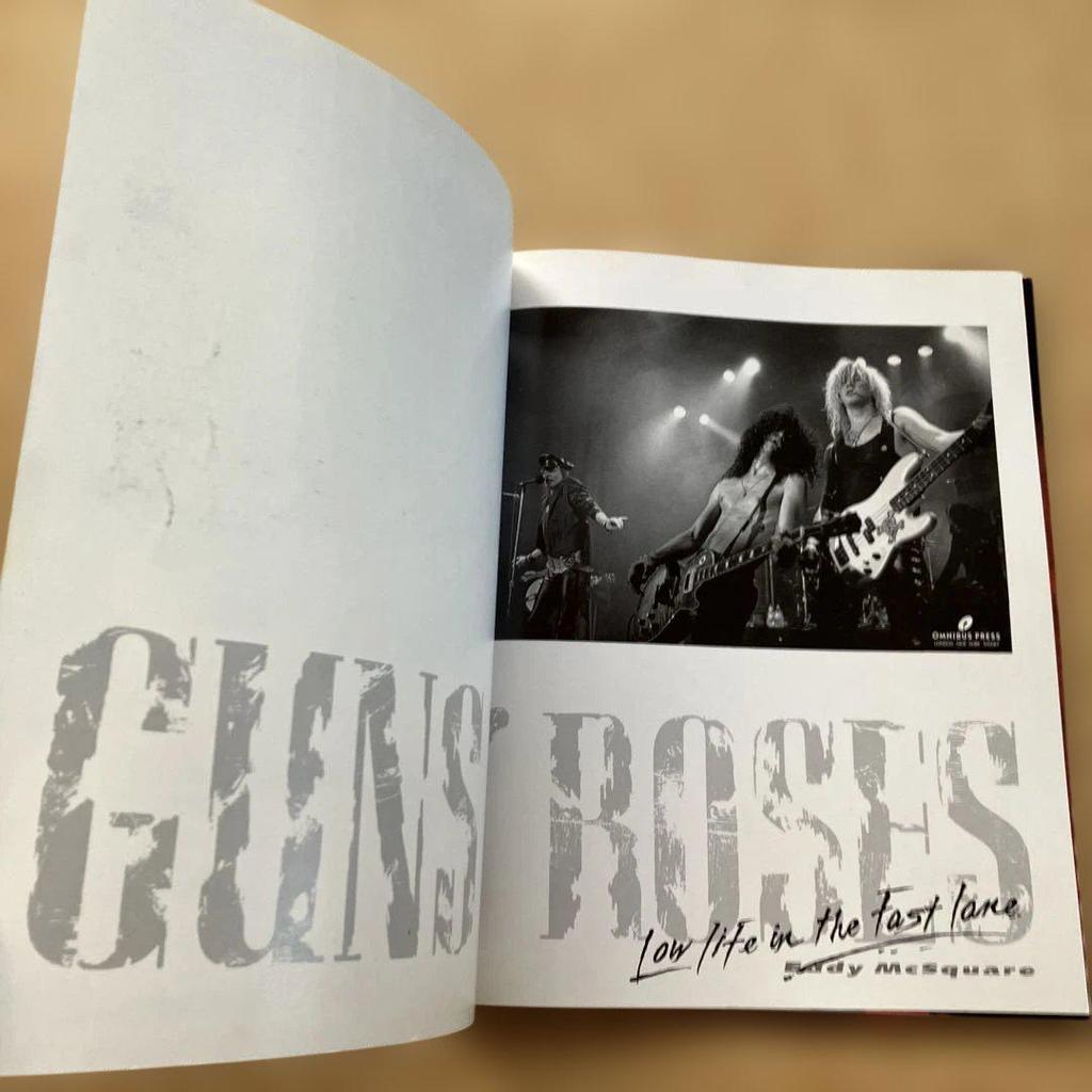[USED] GUNS N' ROSES / Low Life In The ~ Photo Book