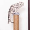 Arranhador de gato com poste - construção estável 80 cm.