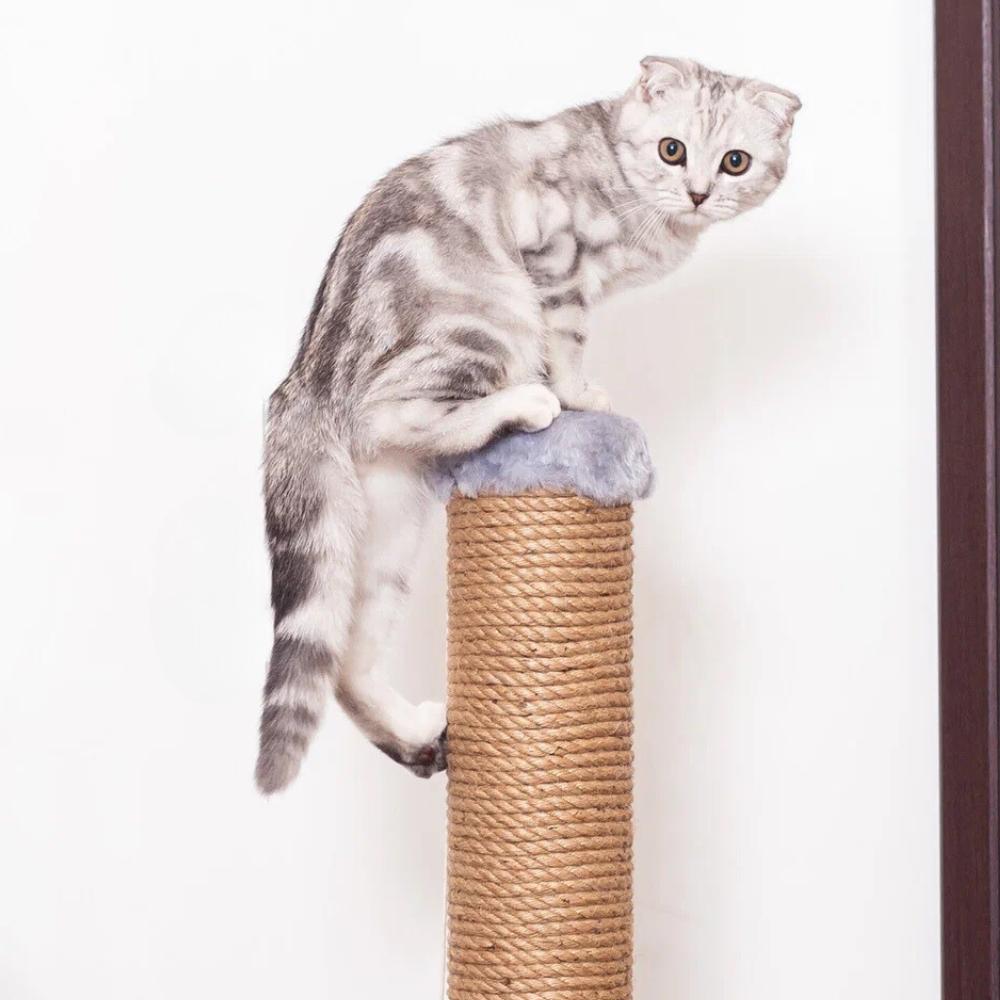 Arranhador de gato com poste - construção estável 80 cm.
