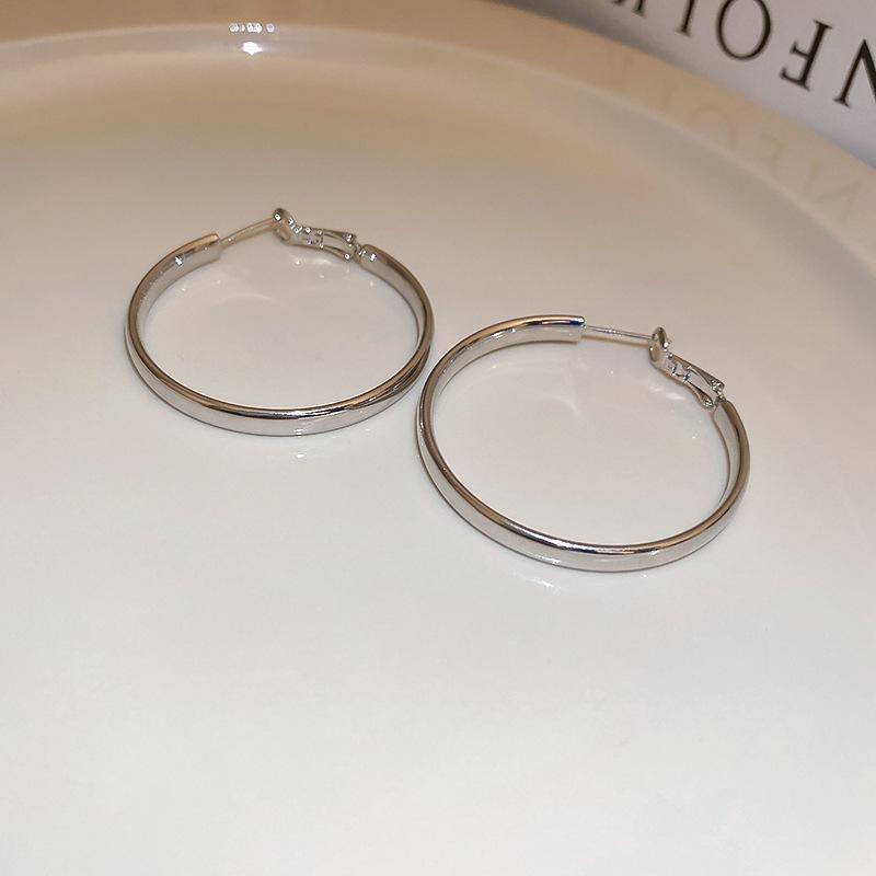 Stylish Silver Needle Round Hoop Earrings: Simple, Fashionable, Versatile, with a Light Luxury Feel