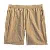 Casual Shorts Men's Tan NF0A3T2U-LK5