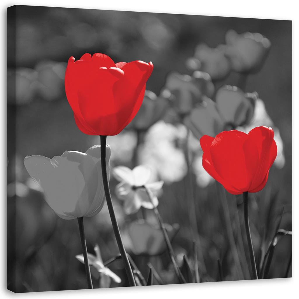 Canvas Print, Red Tulips On a Grey Background