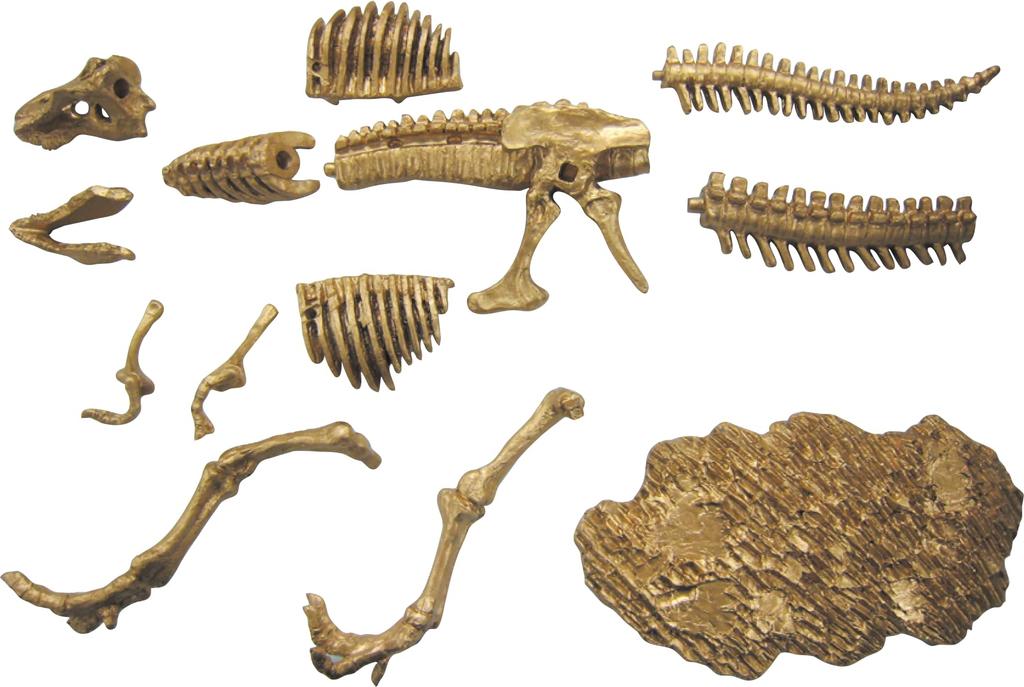 Nobu Company Golden Excavation Master BIG (Tyrannosaurus) SH3917