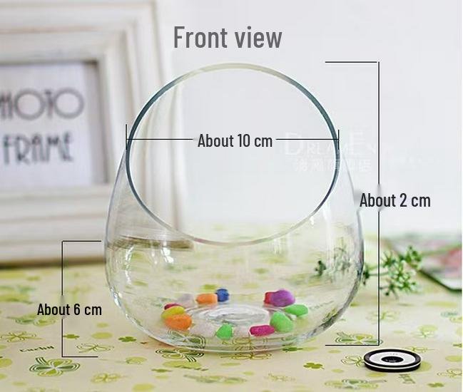 

Изысканная наклонная стеклянная ваза для элегантных аквариумов и гидропонных композиций