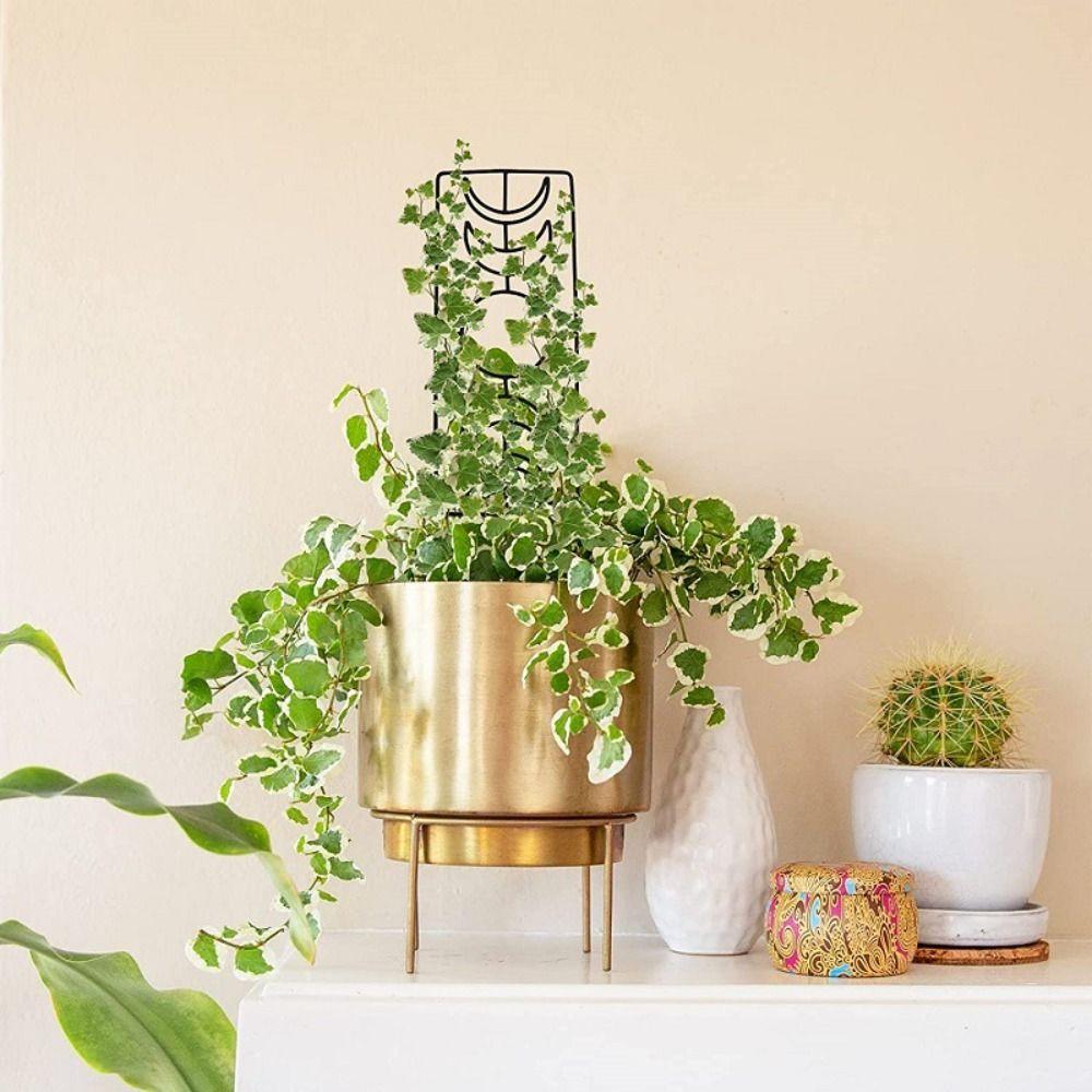 Durable Climbing Vine Frame Iron Flowerpot Bracket Garden Supplies Plant Stand  Flower Screen
