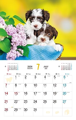 Cățeluș pufos (Calendar Impress 2024)