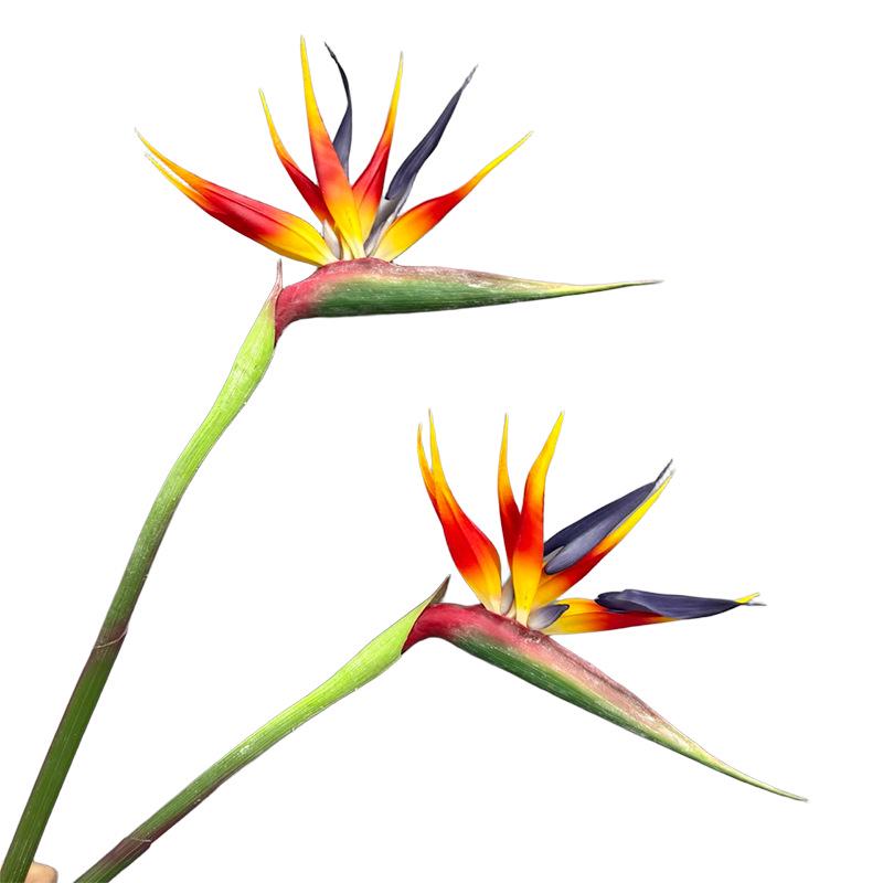 Phoenix Bird of Paradise 5-Head Green Plant Simulation - Large Decorative Branch for Home