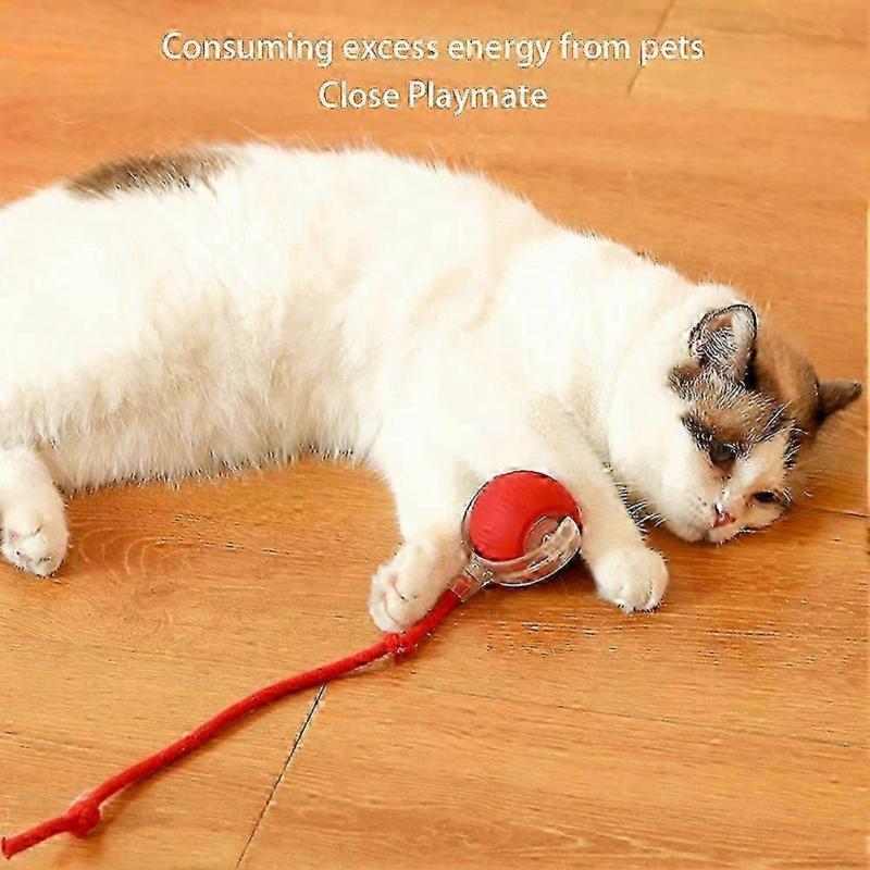 Smart Cat Rolling Ball Auto-Avoid Obstacle Interactive Pet Toy