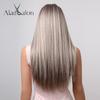 ALAN EATON Ash Grey Brown Mixed Synthetic Wigs for Women Long Straight Middle Part Hair Wigs Daily Cosplay Use Heat Resistant
