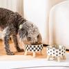 Stainless Steel Creative Cat Bowl Non-slip Shape High Foot Dogs Puppy Feeder Feeding Food Water Elevated Raised Pet Supplies