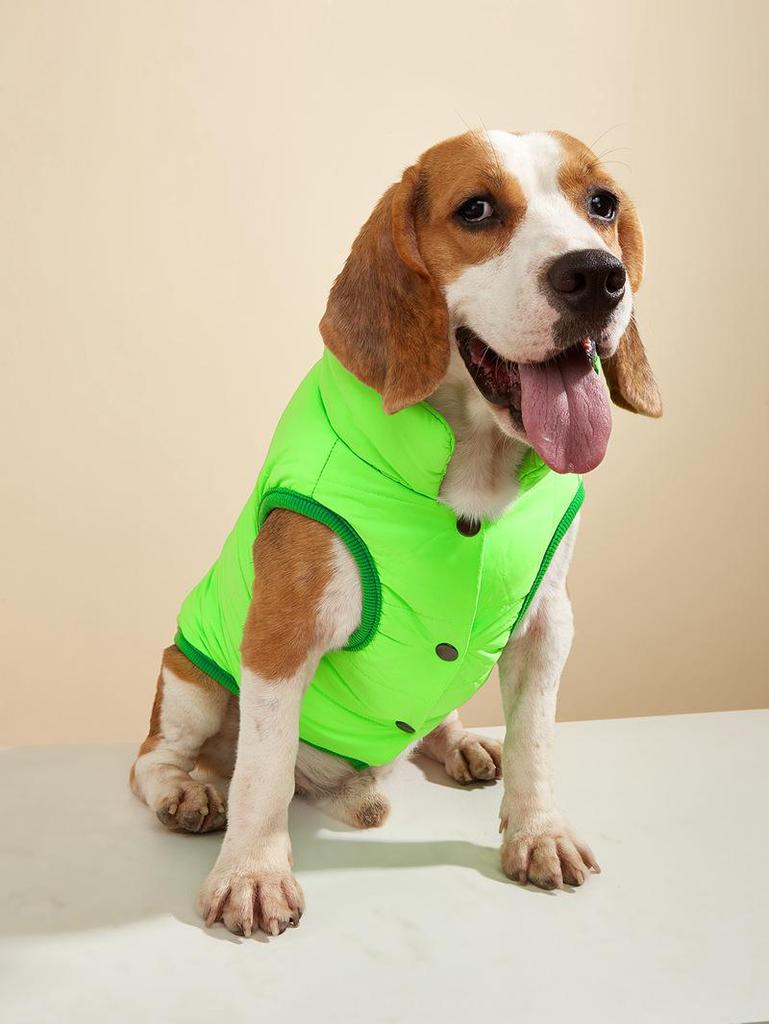 Pet Dog Cotton Jacket for Small & Medium Dogs - Retrievers & Teddies