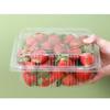 ZISIZ Disposable Thickened Fruit Packaging Box