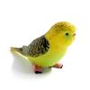 1PC Simulation Forest Parrot Mini Animal Model Miniature Landscape Ornament Dollhouse Decorations