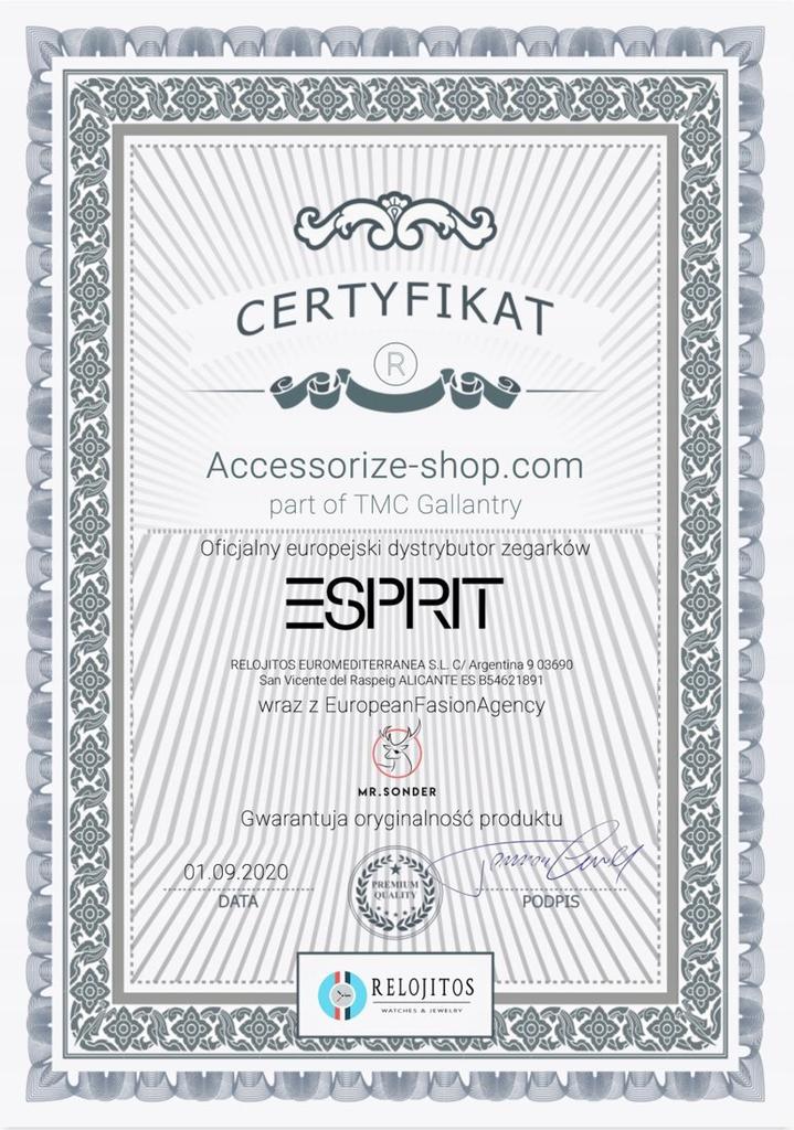 Zegarek ESPRIT ES1L065M0065. Kwarcowy, Kolor srebrny. Kobieta.