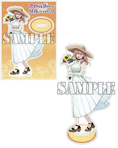 

[Б/У] [][Включен платный бонус] Я ухожу из идолов, но ты выйдешь за меня! (3)