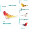 Parrot Figurine Pvc Educational Toy For Children Classroom And Home Use