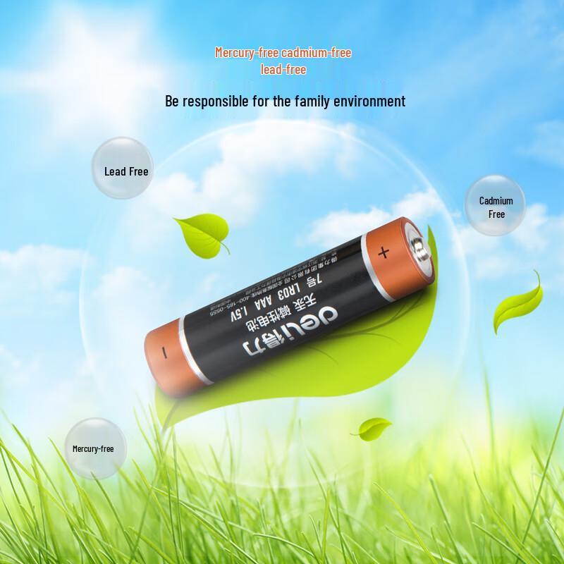 Deli AAA Alkaline Batteries CN plug (adapter included)