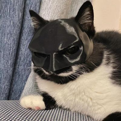 Kocia Maska Nietoperza Zabawny Koci Nietoperz Superbohater Cosplay Kapelusz Ubranie do Przebrania Zwierzaka na Halloween Urodziny Akcesoria Kostiumowe