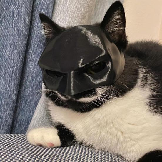 Cat Bat Masque Funny Cat Bat Superhero Cosplay Hat Pet Dress-up Apparel for Halloween Birthday Party Costume Accessories