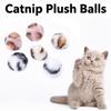 5Pcs Leopard Print Plush Catnip Balls Soft Interactive Toy Balls For Cats Dogs Self‑Play Relieve Boredom Improve Emotions