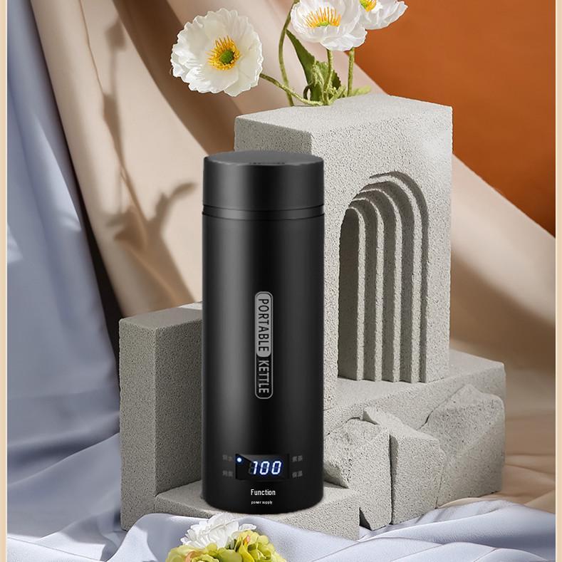 Compact Black Electric Kettle with Temperature Control for Office and Travel