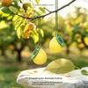 Car Hanging Air Freshener Soft Pomelo Scent No Residue Odor Remover for Car Styling Bedroom Closet