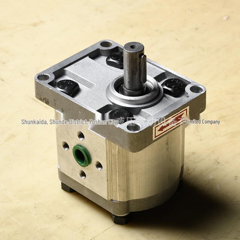 

OLOEY Hydraulic Gear Pump CN plug (adapter included)