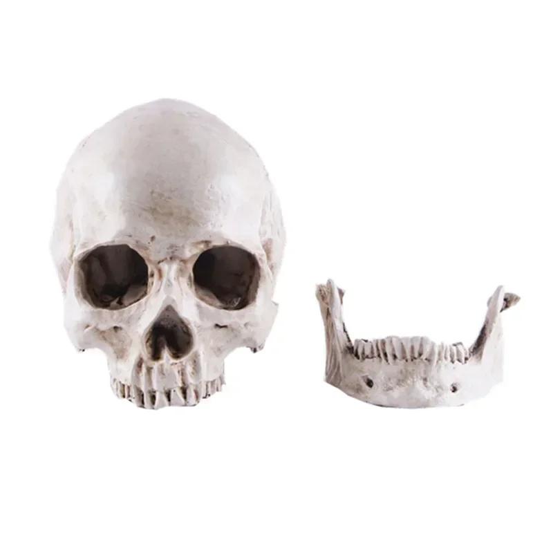 1:1 Skull Statue Sculpture Halloween Decoration Resin Skull Skeleton Crafts for Painting Medical Props Bar Counter Home Decor