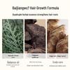 Hathaway Herbal Ginger Anti-Hair Loss & Oil Control Shampoo Twin Pack