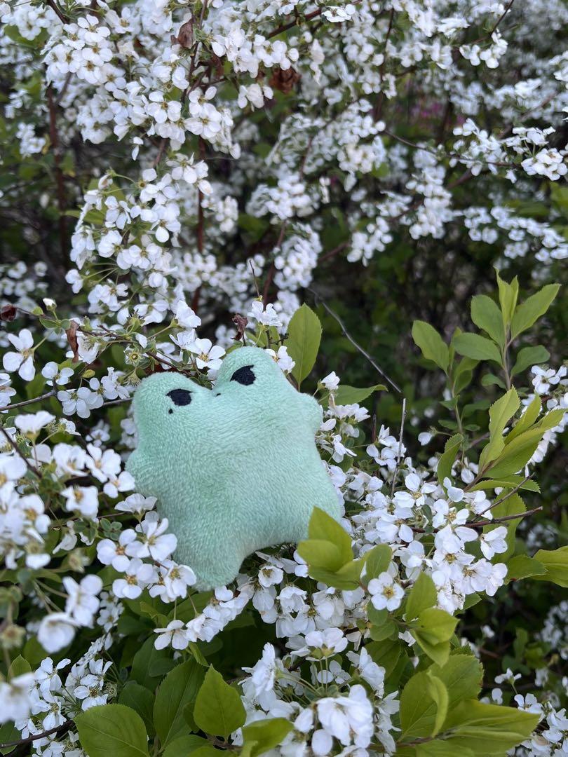 

[USED] SEVENTEEN THE8 Minghao 5cm Plush Toy