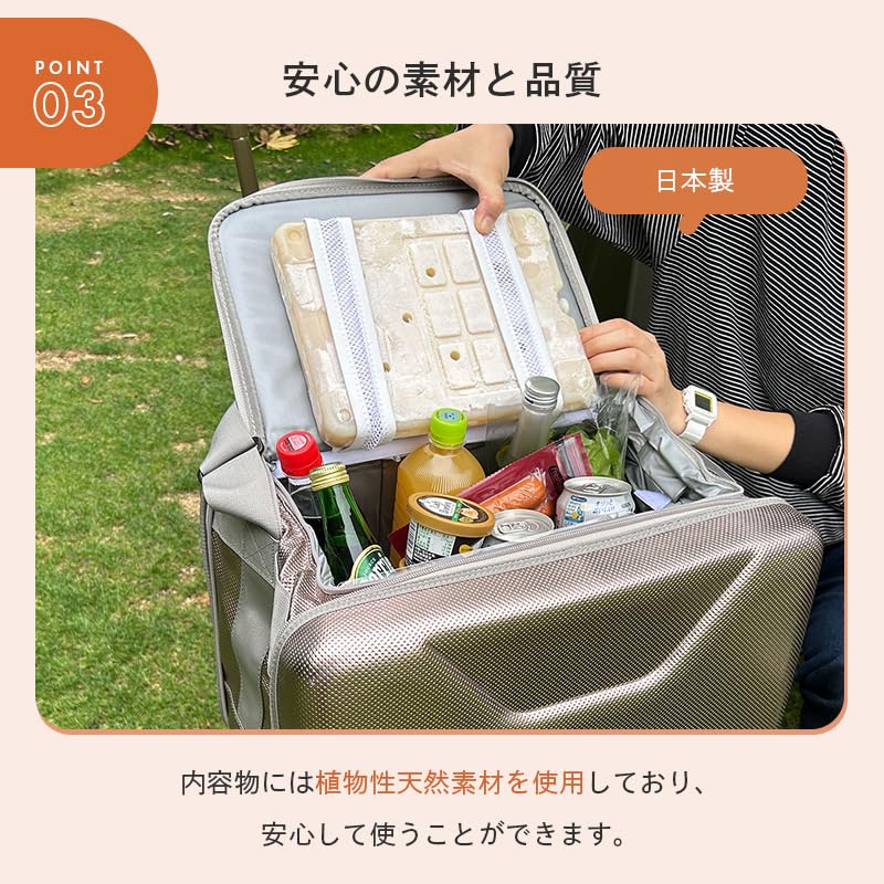 LOGOS Ice Pack GT Minus 16 Degrees Hard 600ml Disaster Preparedness Made in Japan Long-lasting
